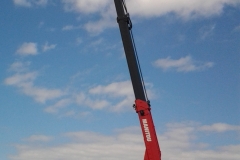 picture-2